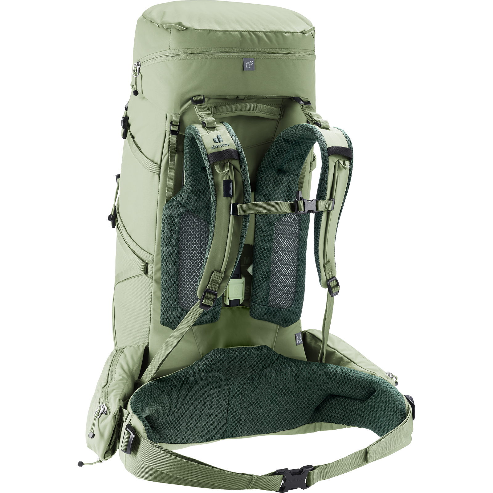 deuter Aircontact Core 45+10 SL - Trekkingrucksack grove-ivy - Bild 17