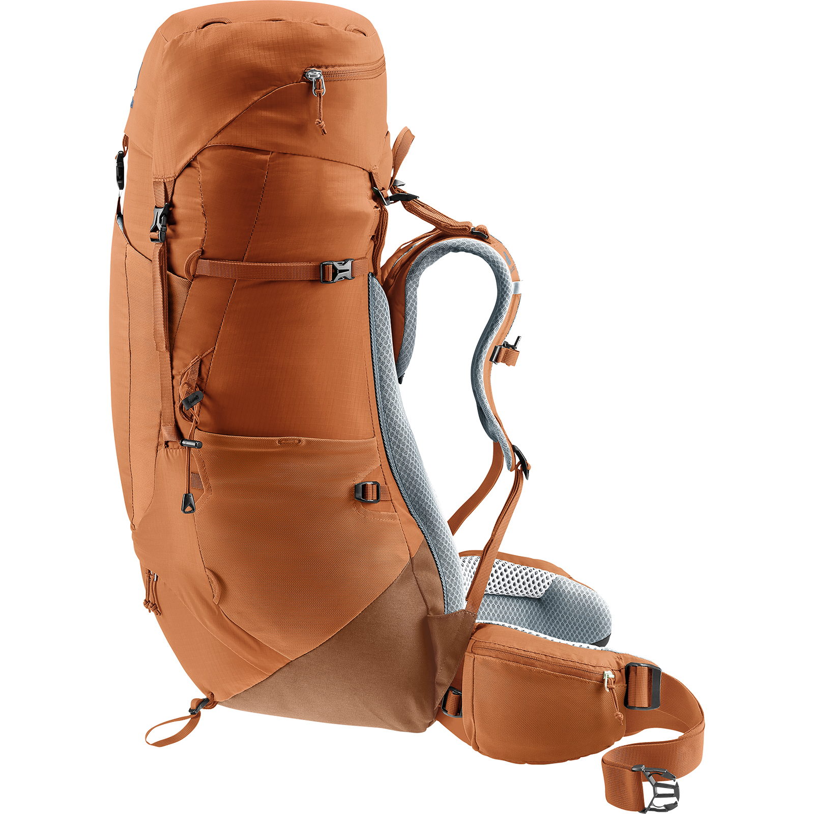 deuter Aircontact Lite 45+10 SL - Damen-Trekkingrucksack pecan-mocha - Bild 5