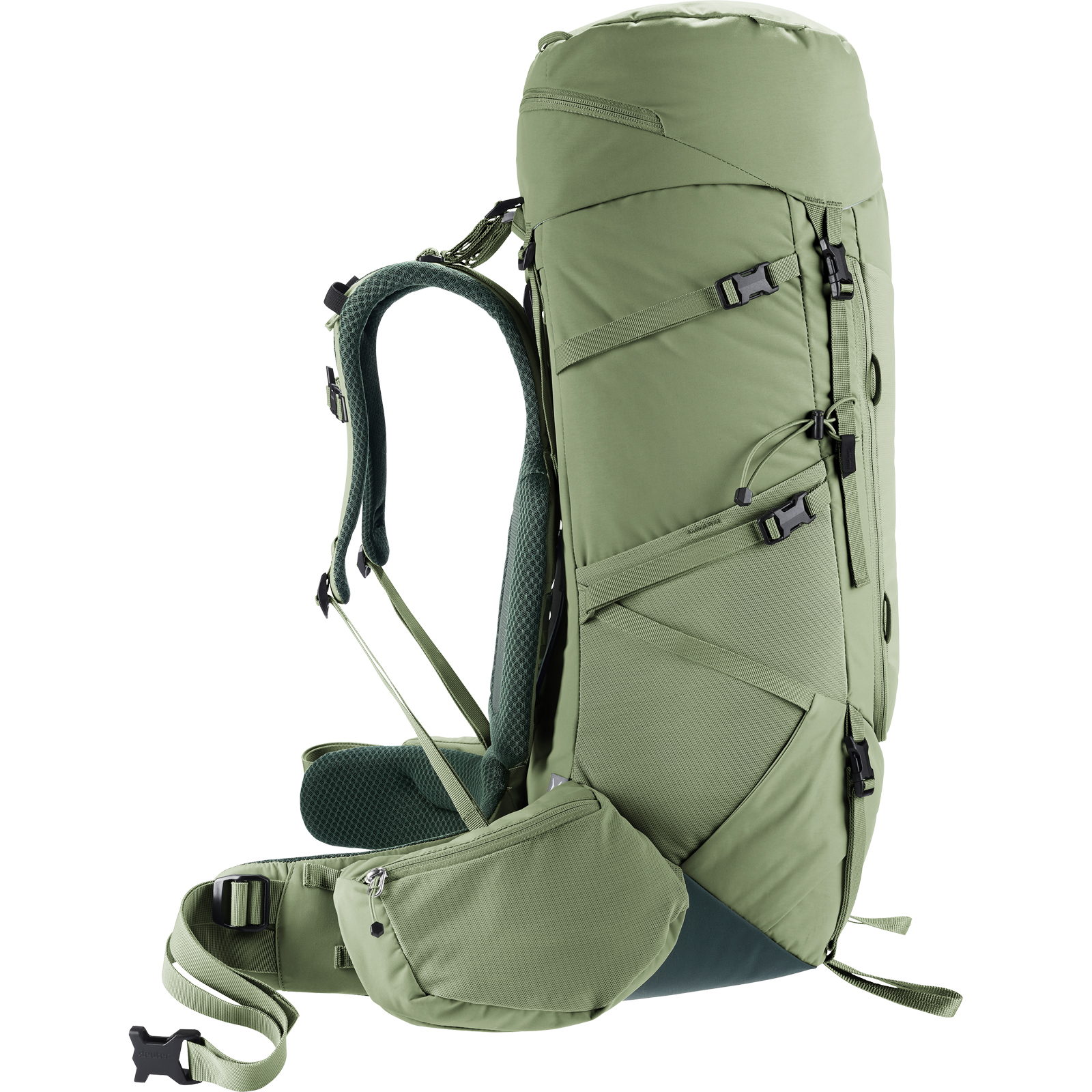 deuter Aircontact Core 45+10 SL - Trekkingrucksack grove-ivy - Bild 16