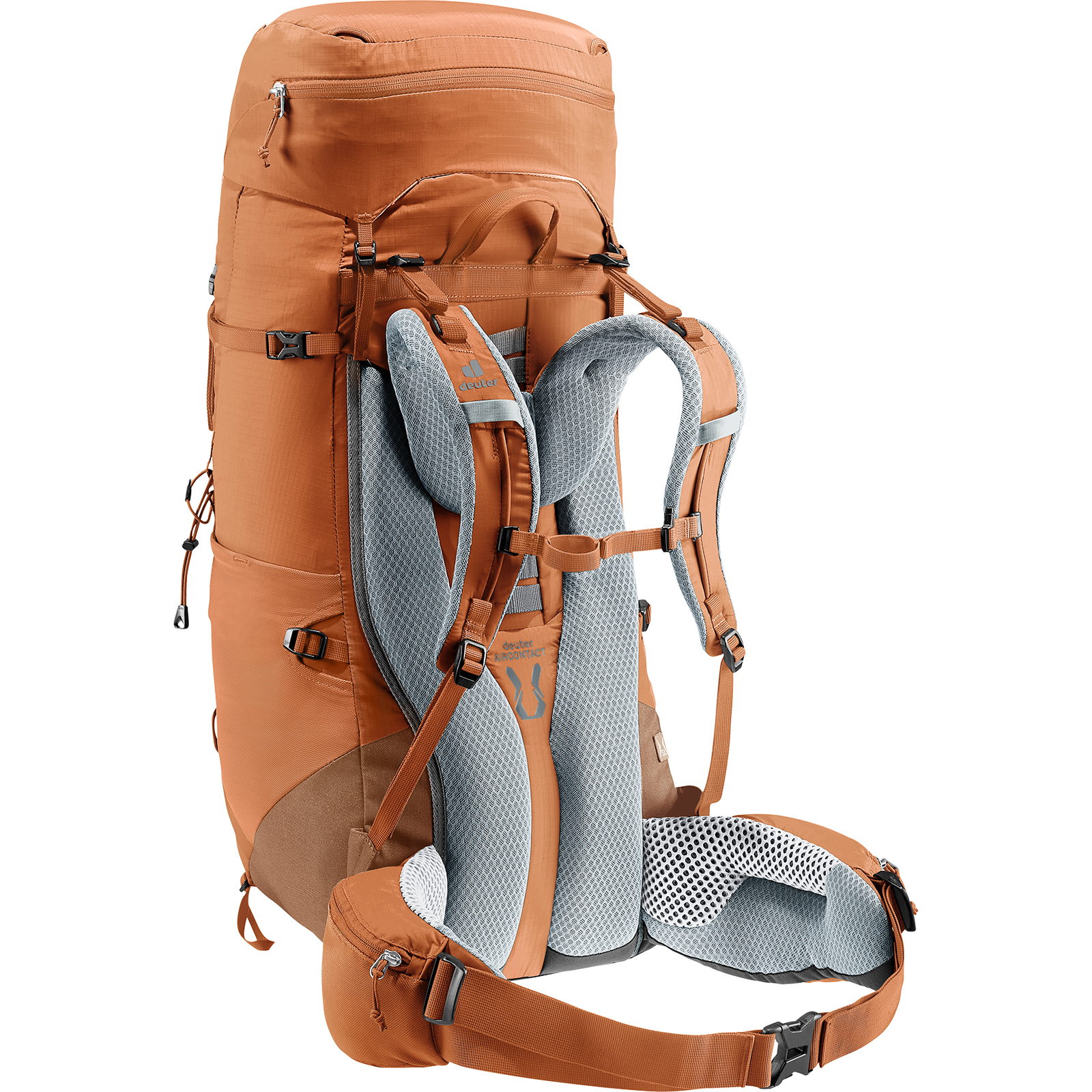deuter Aircontact Lite 45+10 SL - Damen-Trekkingrucksack pecan-mocha - Bild 14