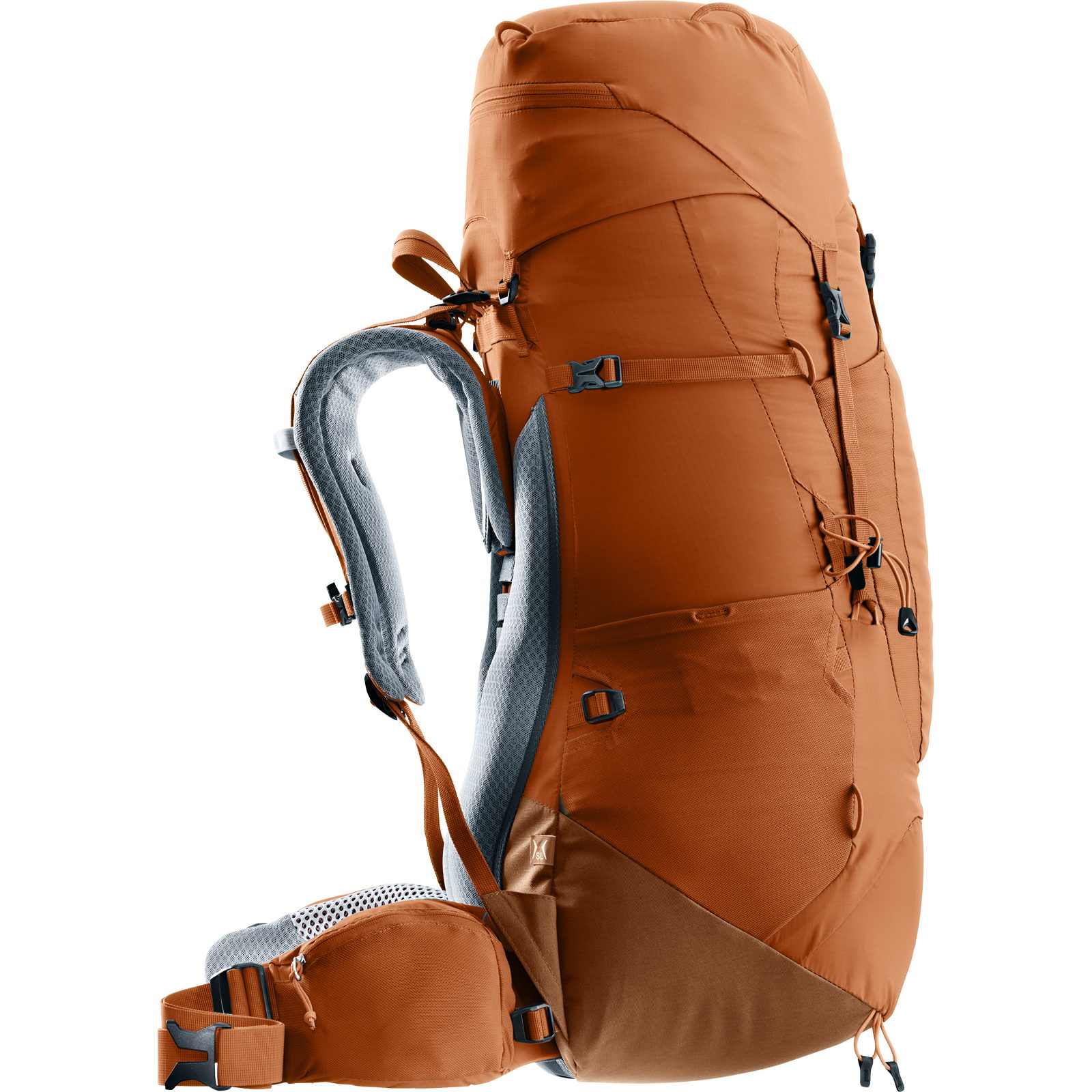 deuter Aircontact Lite 45+10 SL - Damen-Trekkingrucksack pecan-mocha - Bild 7