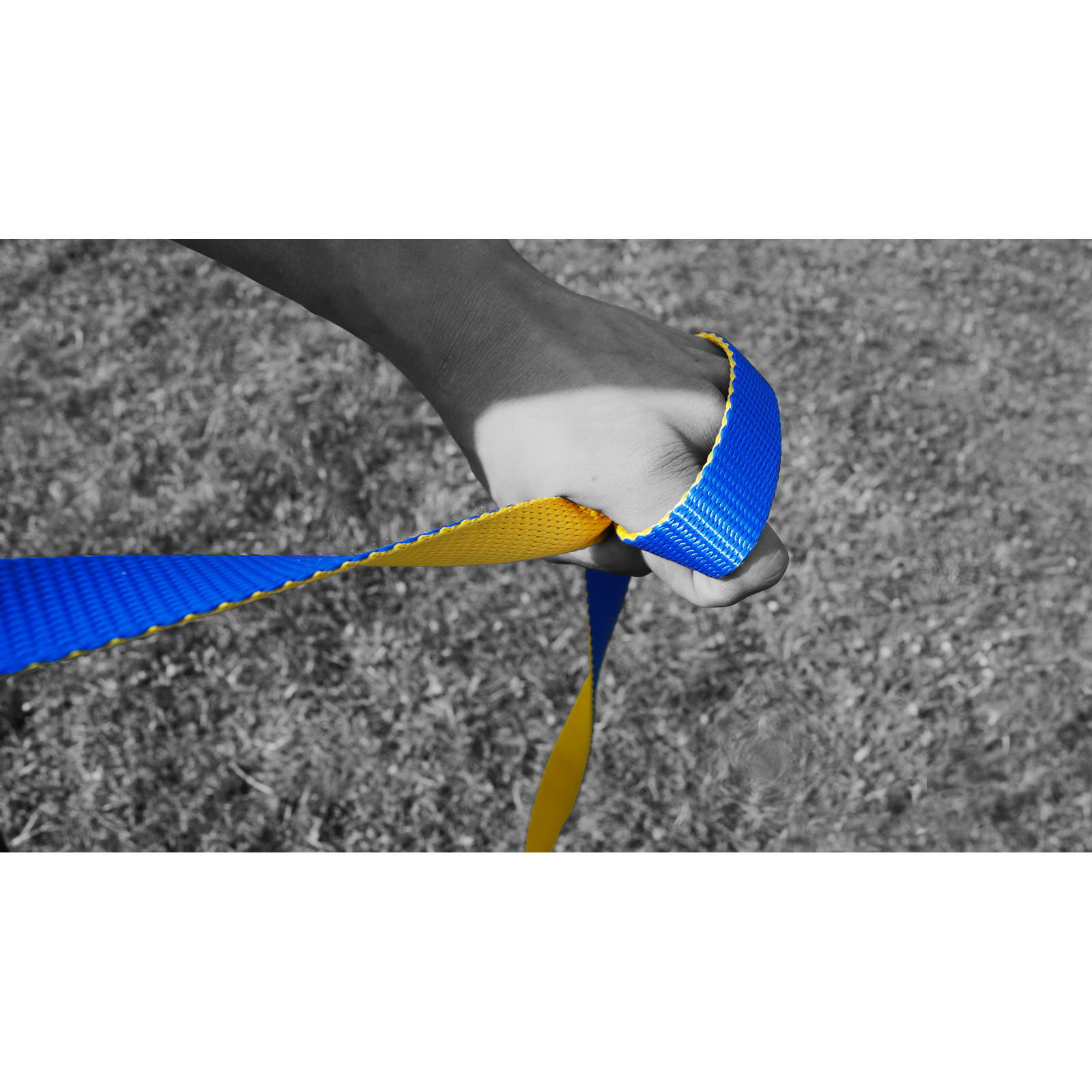 Gibbon Flow Line TreeWear Set - Slackline - Bild 6