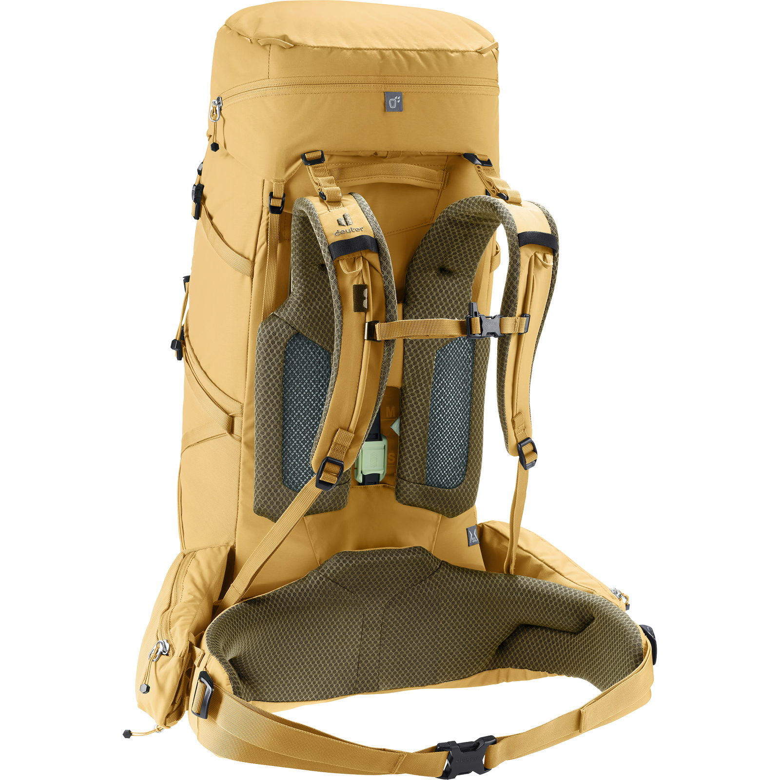 deuter Aircontact Core 45+10 SL - Trekkingrucksack savanna-nori - Bild 30