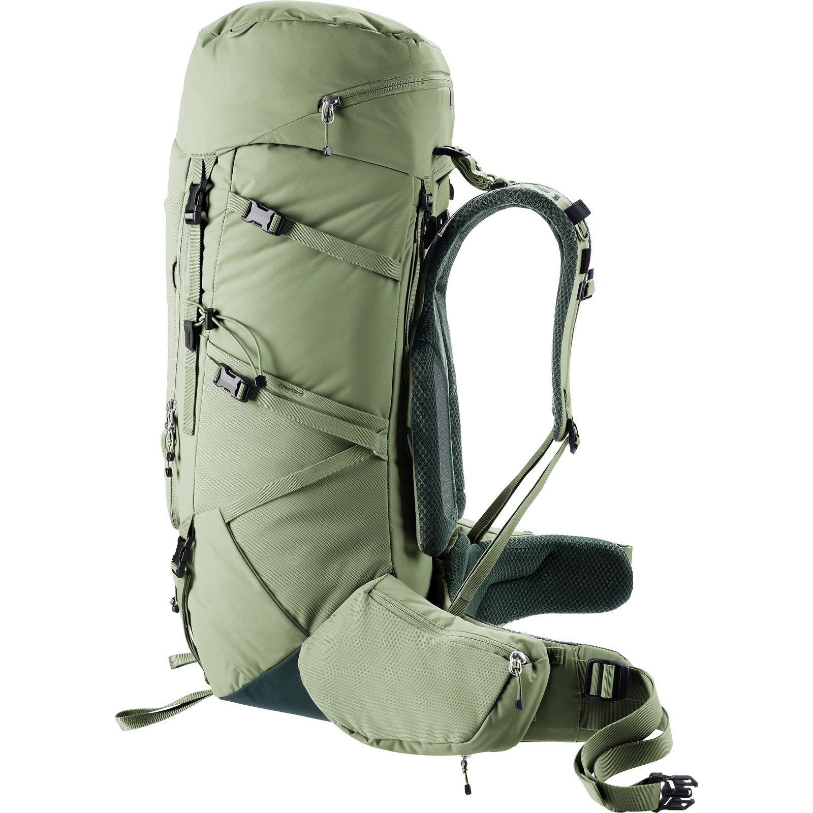 deuter Aircontact Core 45+10 SL - Trekkingrucksack grove-ivy - Bild 18