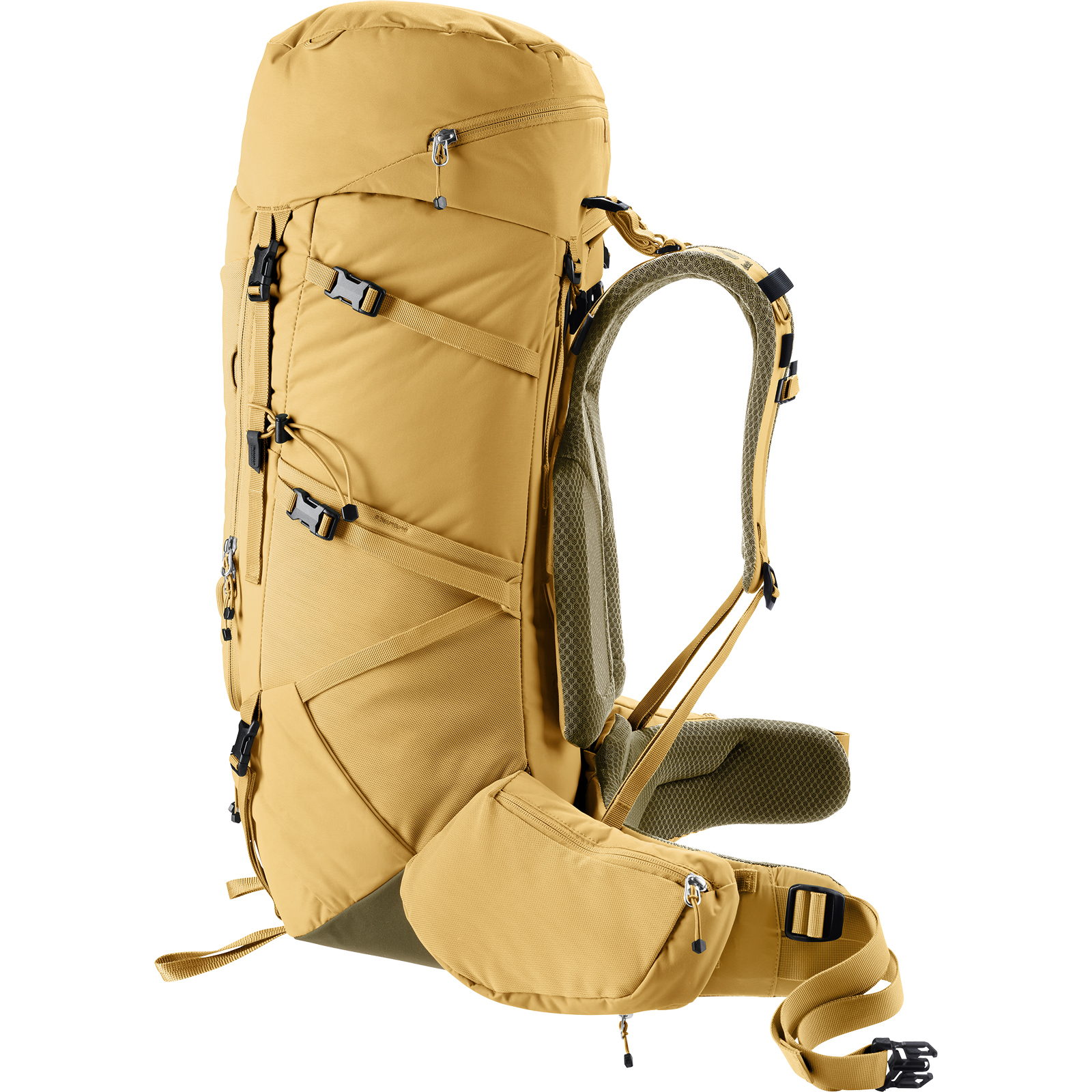 deuter Aircontact Core 45+10 SL - Trekkingrucksack savanna-nori - Bild 31